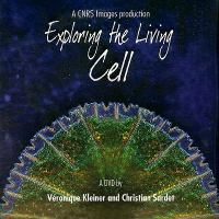 Exploring the living cell