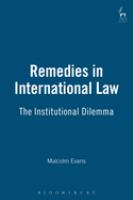 Remedies in international law : the institutional dilemma /