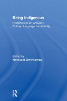 Being indigenous : perspectives on activism, culture, language and identity /