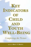 Key indicators of child and youth well-being : completing the picture /