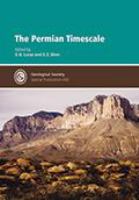 The Permian timescale /