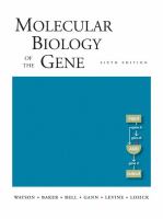 Molecular biology of the gene /