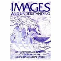 Images and understanding : thoughts about images--ideas about understanding /