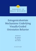 Extrageniculostriate mechanisms underlying visually-guided orientation behavior /