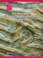 Microbial mats in siliciclastic depositional systems through time /