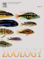 Zoology : analysis of complex systems, ZACS.