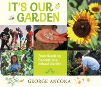 It's our garden : from seeds to harvest in a school garden /