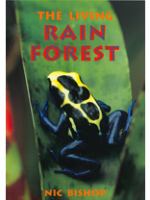 The living rain forest /