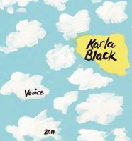 Karla Black : Venice, 2011.