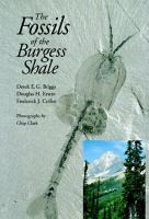 The fossils of the Burgess Shale /