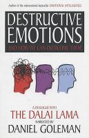 Destructive emotions : and how we can overcome them : a dialogue with the Dalai Lama /