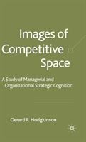 Images of competitive space : a study of managerial and organizational strategic cognition /