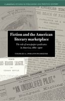 Fiction and the American literary marketplace, 1860-1900 : the role of newspaper syndicates, 1860-1900 /