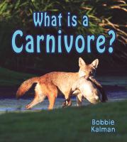 What is a carnivore? /
