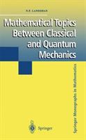 Mathematical topics between classical and quantum mechanics /