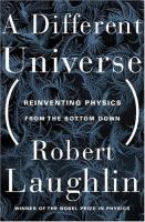 A different universe : reinventing physics from the bottom down /