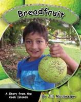 Breadfruit /