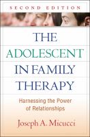 The adolescent in family therapy harnessing the power of relationships /