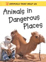 Animals in dangerous places /