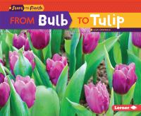 From bulb to tulip /
