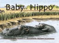 Baby Hippo /