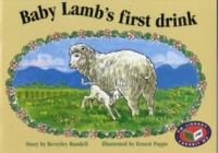 Baby Lamb's first drink /