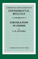 Circulation in fishes /