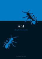 Ant /