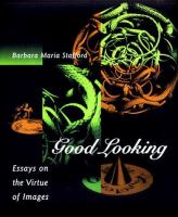 Good looking : essays on the virtue of images /