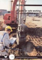 A guide for safe working on contaminated sites /