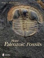 More Paleozoic fossils /