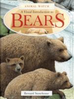 A visual introduction to bears /