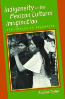 Indigeneity in the Mexican cultural imagination : thresholds of belonging /