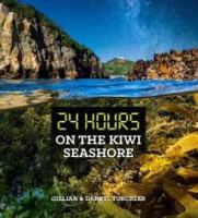 24 hours on the kiwi seashore /