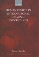 Human rights in international criminal proceedings /